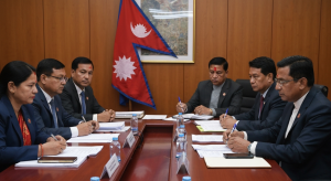 कर हेरफेर छानबिन
