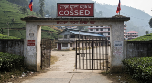 नेपाली चिया संकट