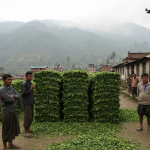 चिया उद्योग बन्द