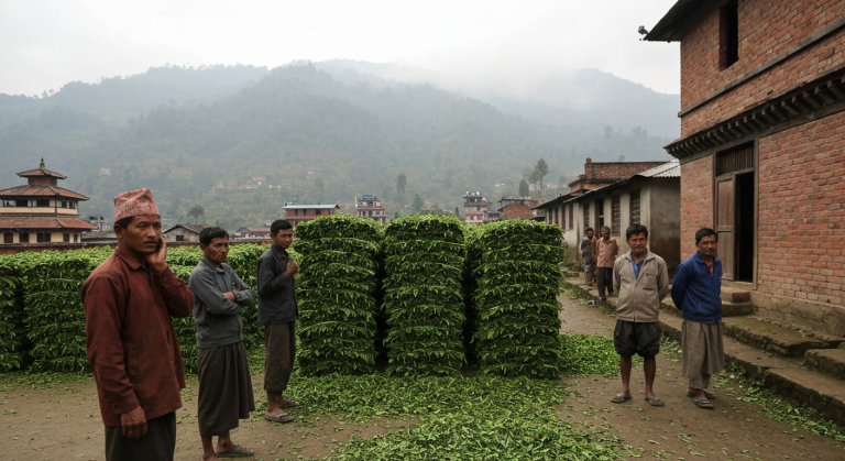 चिया उद्योग बन्द