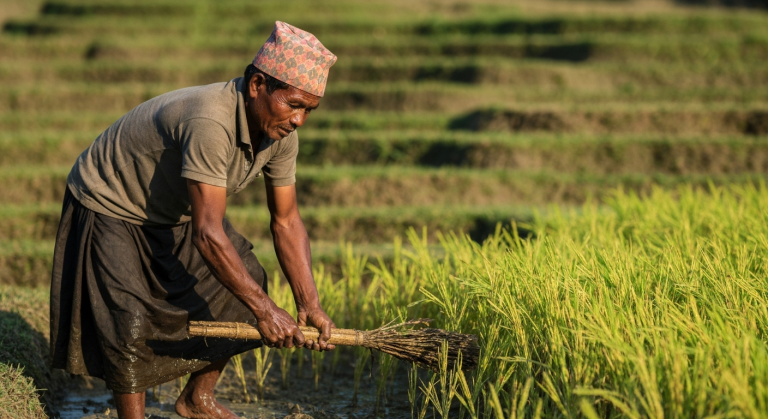 बेलायत नेपाल सहयोग