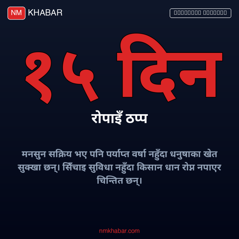 धनुषा धान रोपाइँ