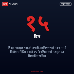 विद्युत महसुल पुनरावलोकन