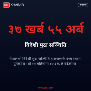 विदेशी मुद्रा सञ्चिति