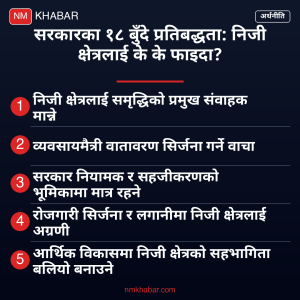 निजी क्षेत्र प्रतिबद्धता