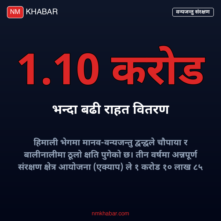 मानव वन्यजन्तु द्वन्द्व