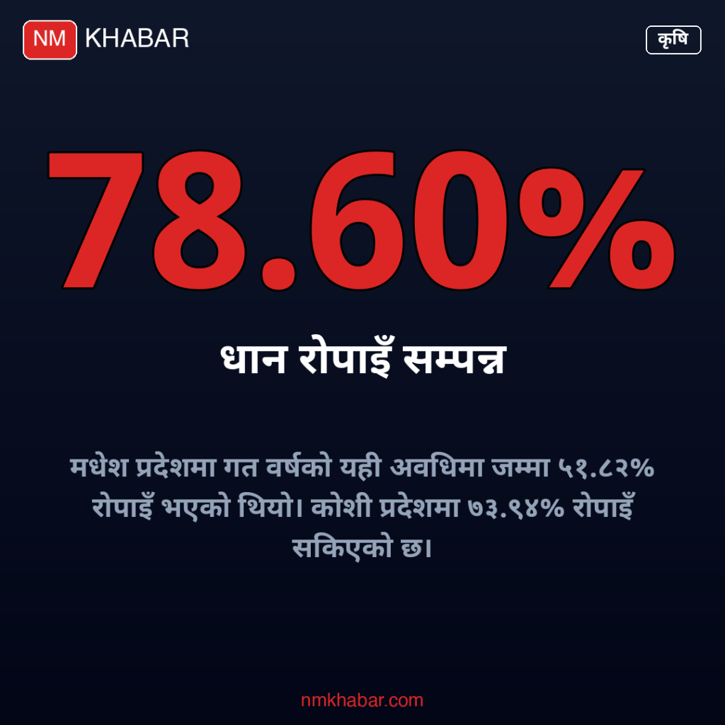 धान रोपाइँ कोशी प्रदेश