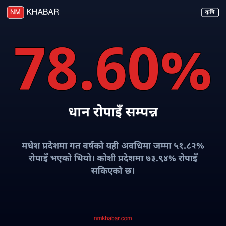 धान रोपाइँ कोशी प्रदेश