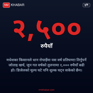 धान रोपाइँ लागत, किसान समस्या, मधेश