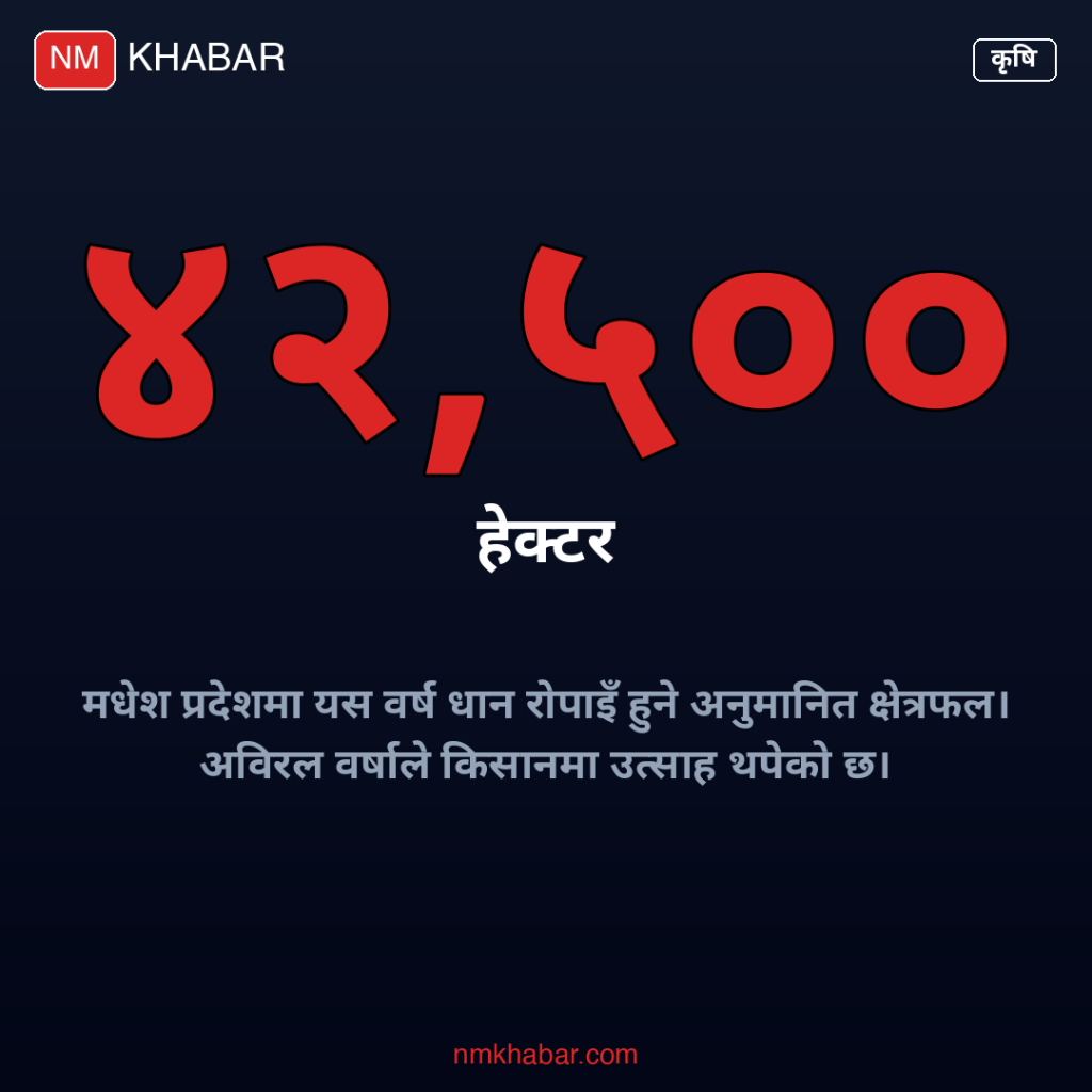 मधेश धान रोपाइँ
