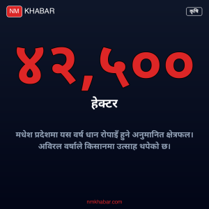 मधेश धान रोपाइँ