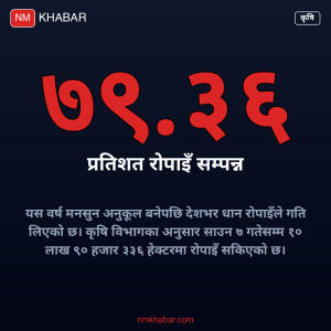 धान रोपाइँ तथ्याङ्क