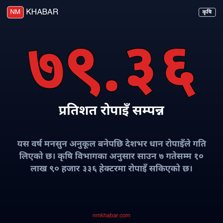 धान रोपाइँ तथ्याङ्क