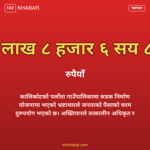 भ्रष्टाचार मुद्दा पलाँता