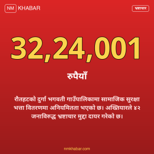 सामाजिक सुरक्षा भत्ता अनियमितता