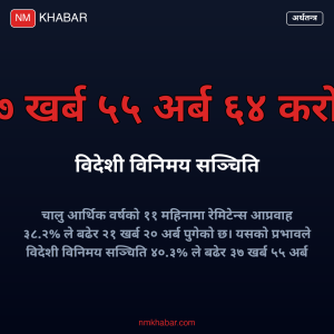 रेमिटेन्स र विदेशी सञ्चिति