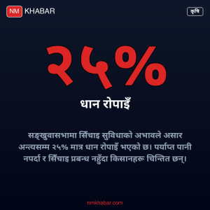 सङ्खुवासभामा रोपाइँ