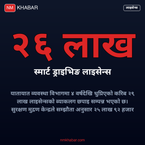 स्मार्ट ड्राइभिङ लाइसेन्स