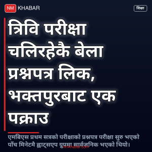 त्रिवि प्रश्नपत्र लिक