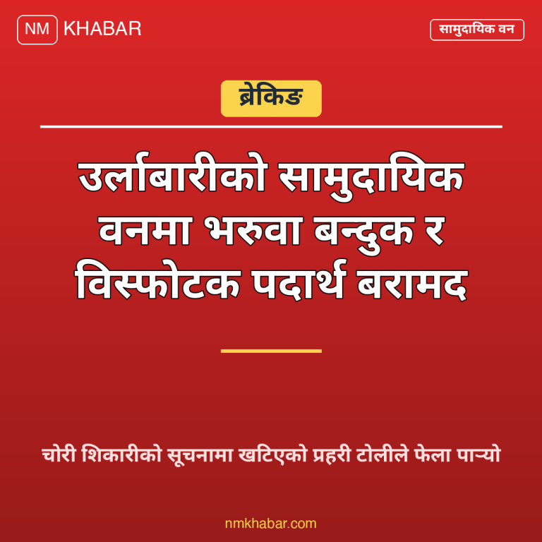 भरुवा बन्दुक विस्फोटक पदार्थ उर्लाबारी
