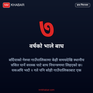 पाटे बाघ नियन्त्रण