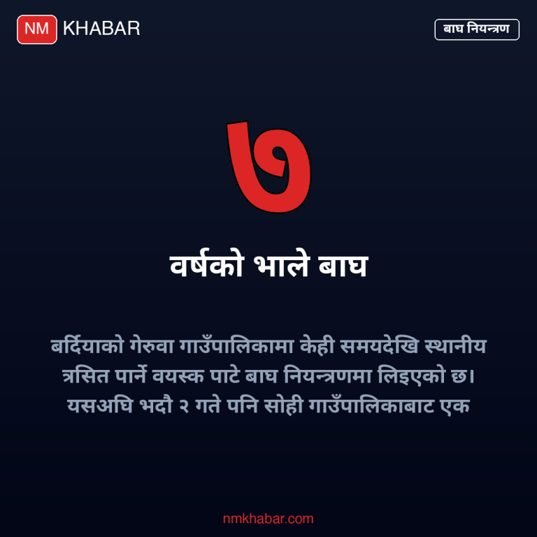 पाटे बाघ नियन्त्रण