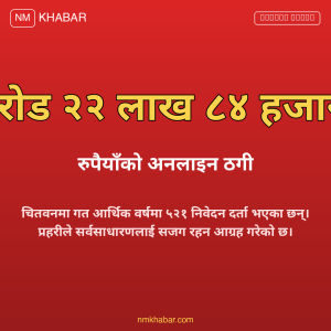 अनलाइन ठगी चितवन