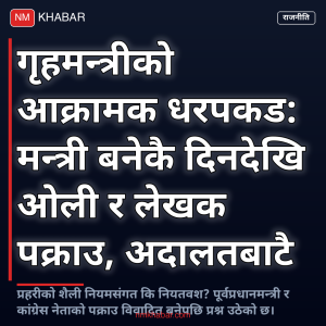 फौजदारी धरपकड