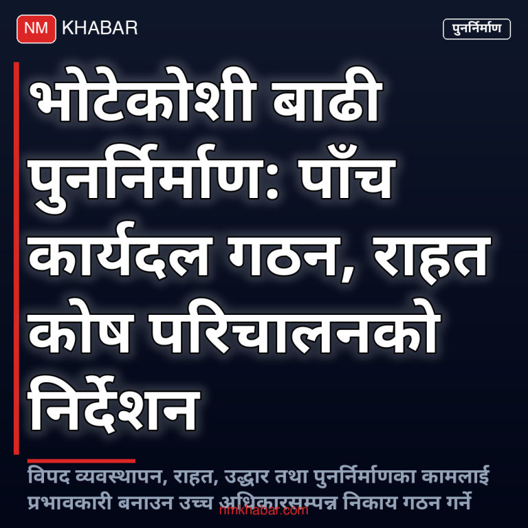 बाढी पुनर्निर्माण कार्यदल
