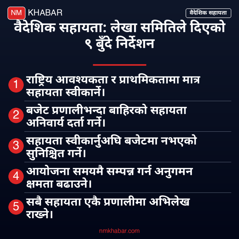 वैदेशिक सहायता निर्देशन