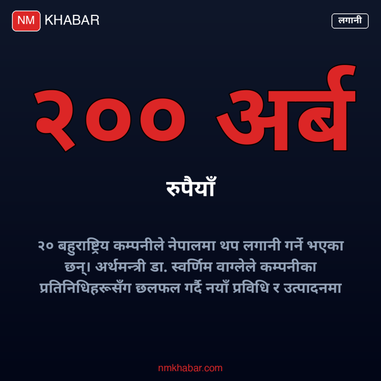 बहुराष्ट्रिय कम्पनी लगानी