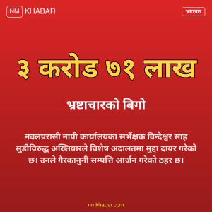 भ्रष्टाचार मुद्दा