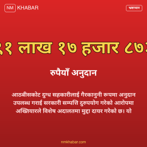 भ्रष्टाचार मुद्दा आठबीसकोट