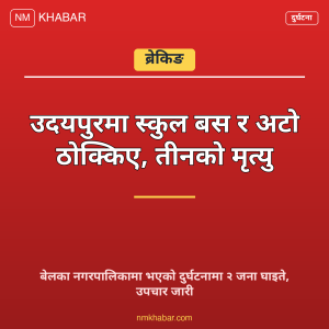 उदयपुर बस अटो दुर्घटना