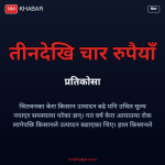 केरा किसान मूल्य