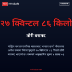भन्सार छली तोरी बरामद