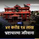 विकल पौडेल, अकुत सम्पत्ति, कैद