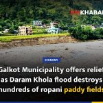 Galkot Municipality offers relief as Daram Khola flood destroys hundreds of ropani paddy fields