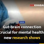 Gut-brain connection crucial for mental health, new research shows