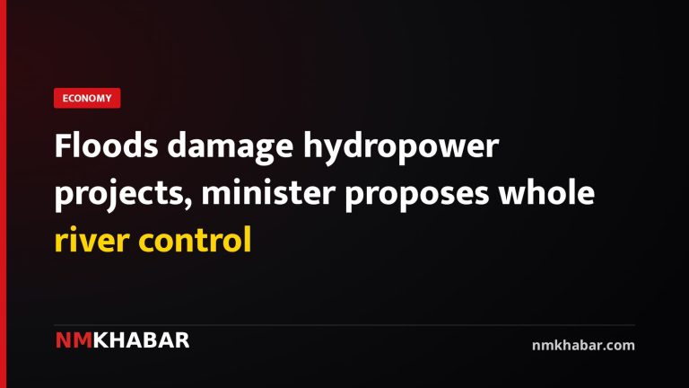 Floods damage hydropower projects, minister proposes whole river control