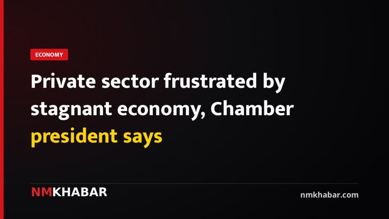 Private sector frustrated by stagnant economy, Chamber president says
