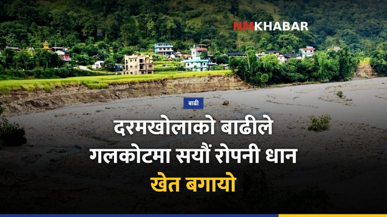 गलकोट बाढी, धानखेत क्षति