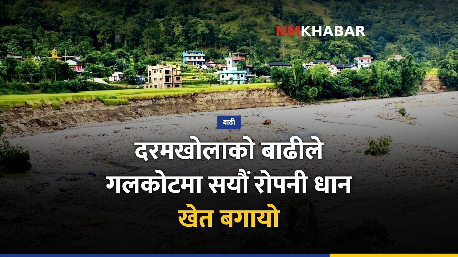 गलकोट बाढी, धानखेत क्षति
