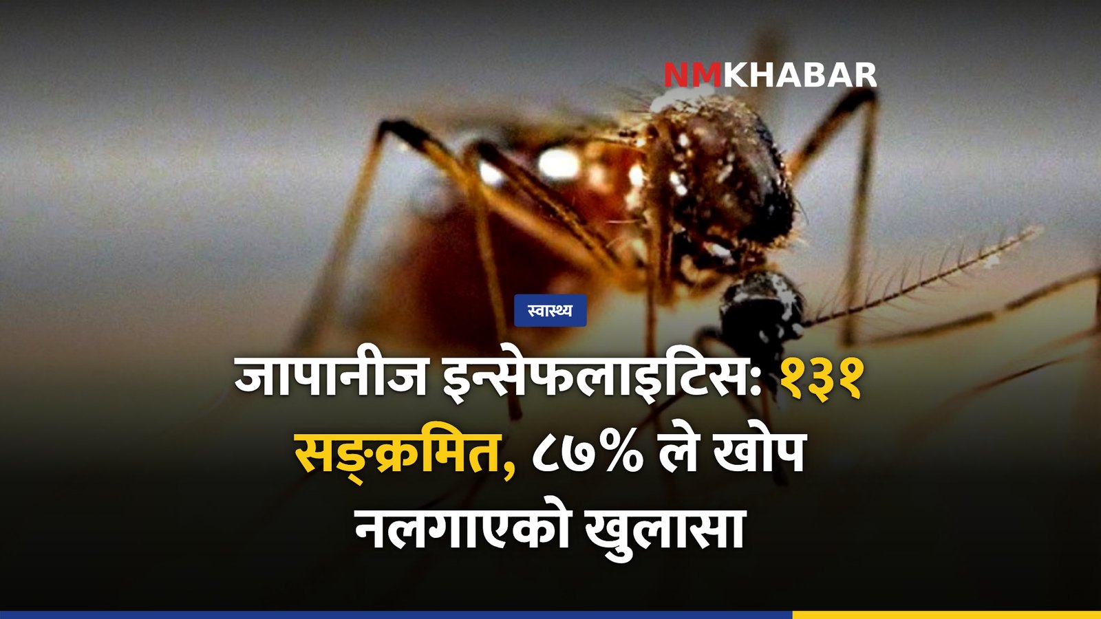 जापानीज इन्सेफलाइटिस नेपाल