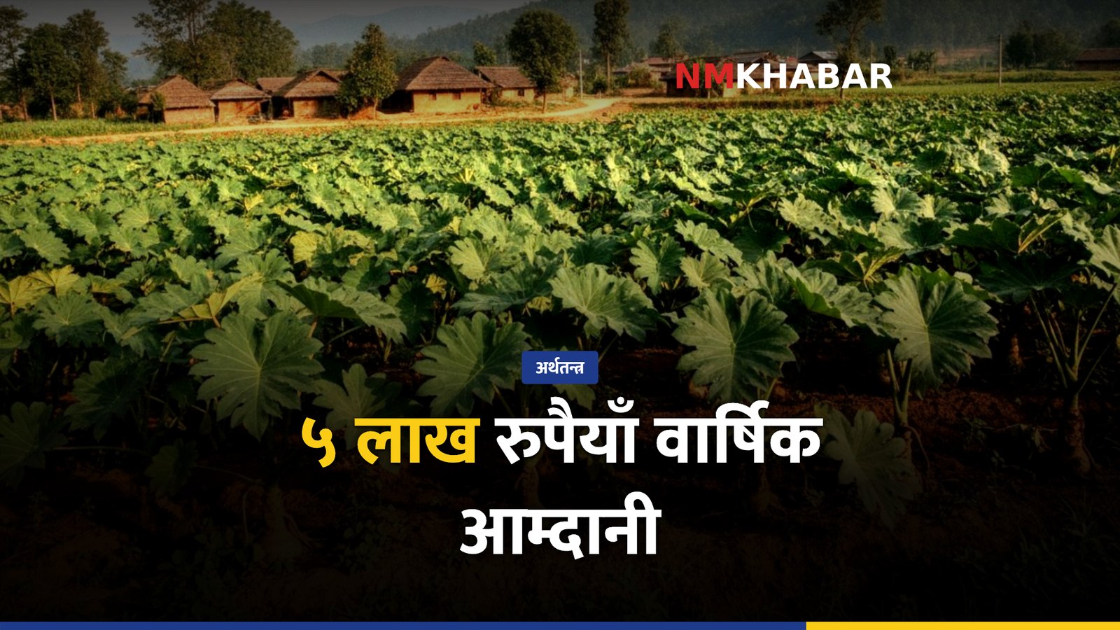 हात्तीकाउली खेती, महोत्तरी किसान