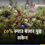 मुस्ताङ स्याउ क्षति