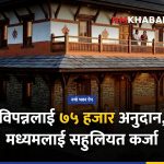 भवन विधेयक, आवास कर्जा, नगद अनुदान