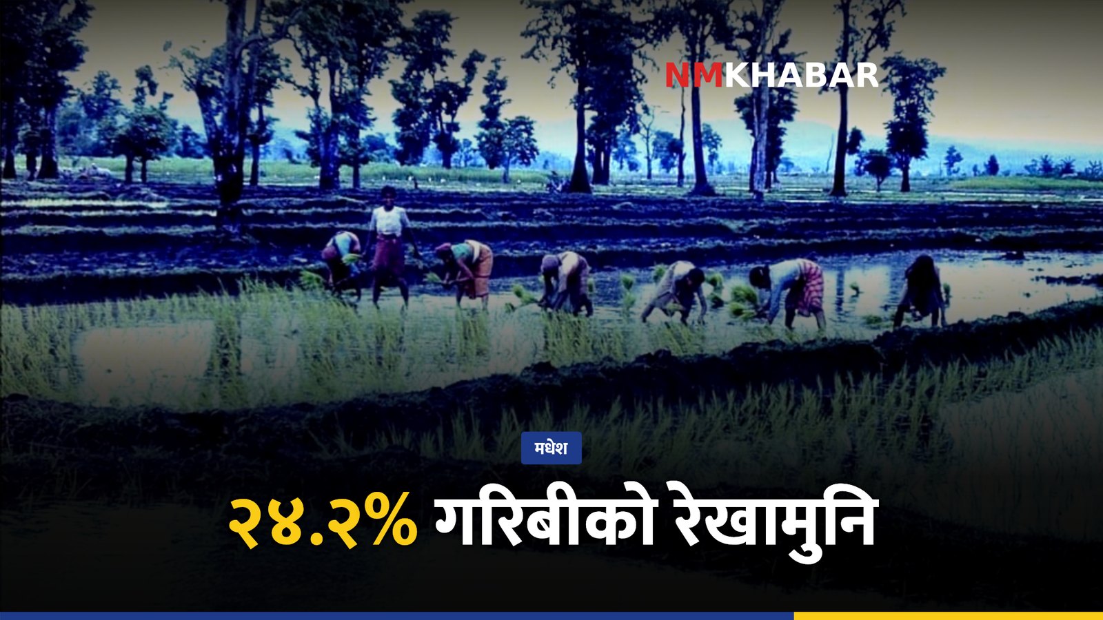 मधेश भूमि सुधार