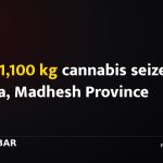 Over 1,100 kg cannabis seized in Siraha, Madhesh Province